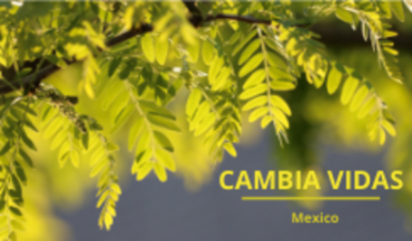 CONOCE LA EMPRESA